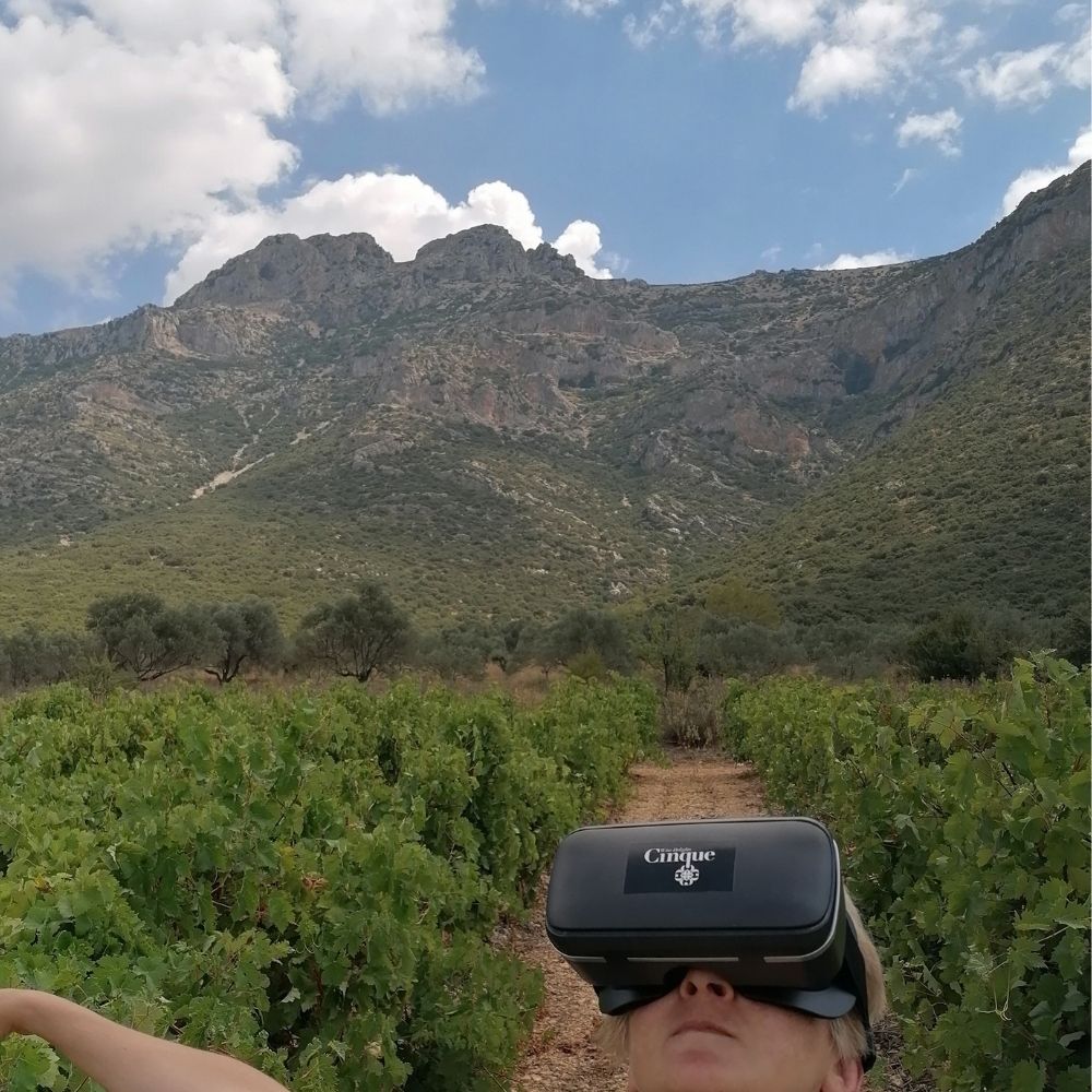 Virtual Reality Winery Tour