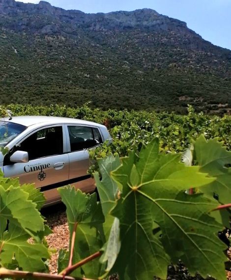 Cinque Wine and Deli car in Greek vineyard for Greek wine tasting experiences