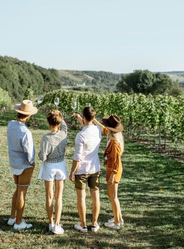 Guests enjoying vineyard setting during Casa Cinque wine experience